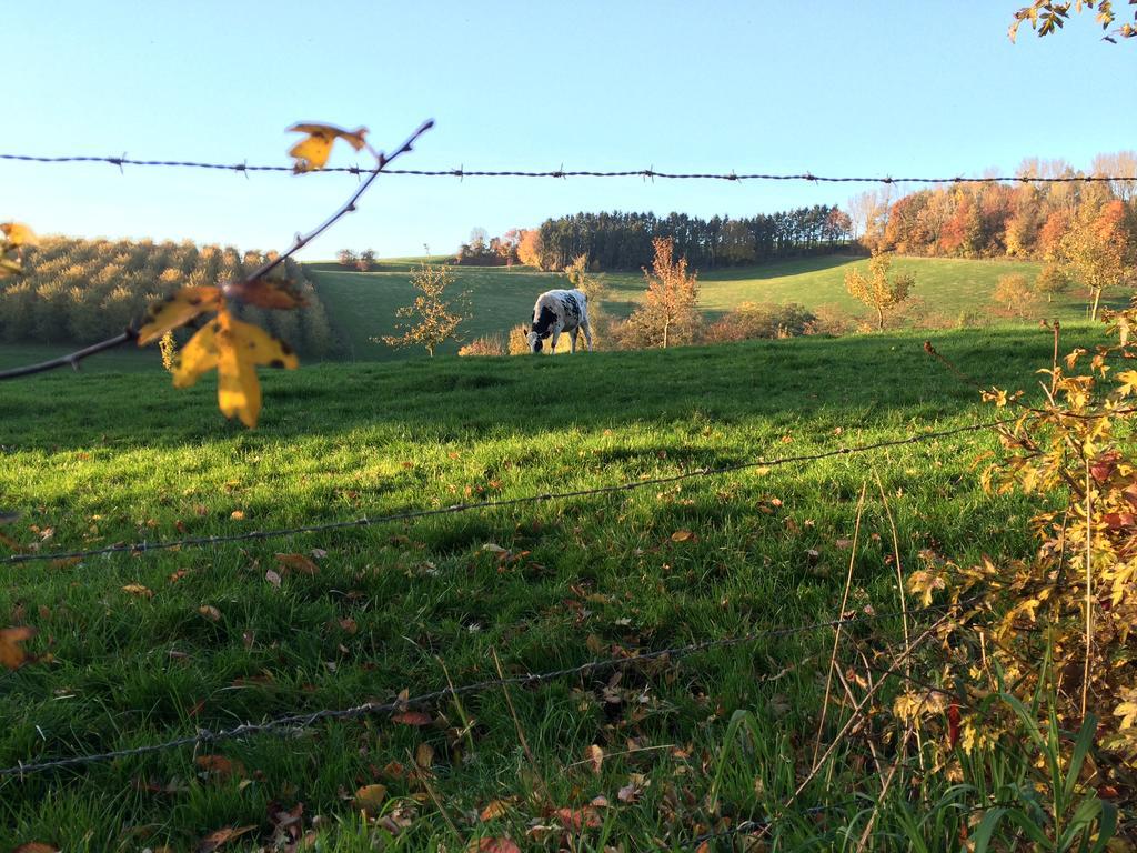 Willa O Macra Aubel Pokój zdjęcie